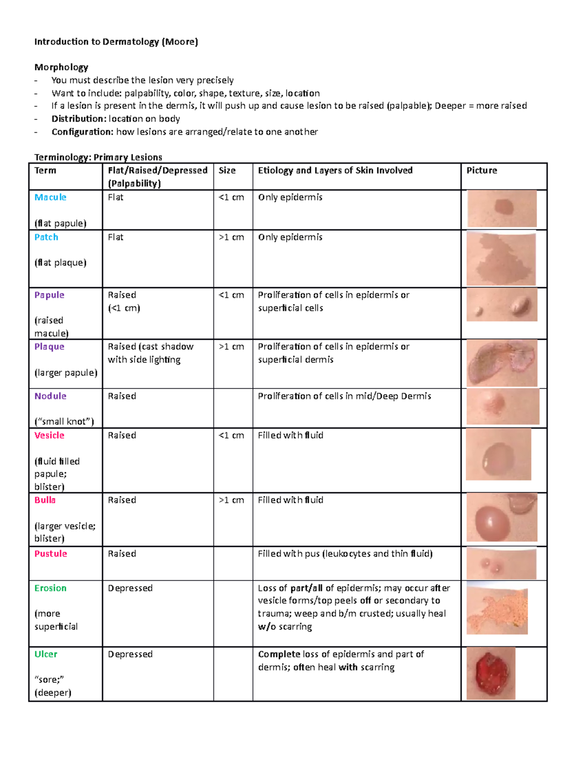 thesis topic in dermatology