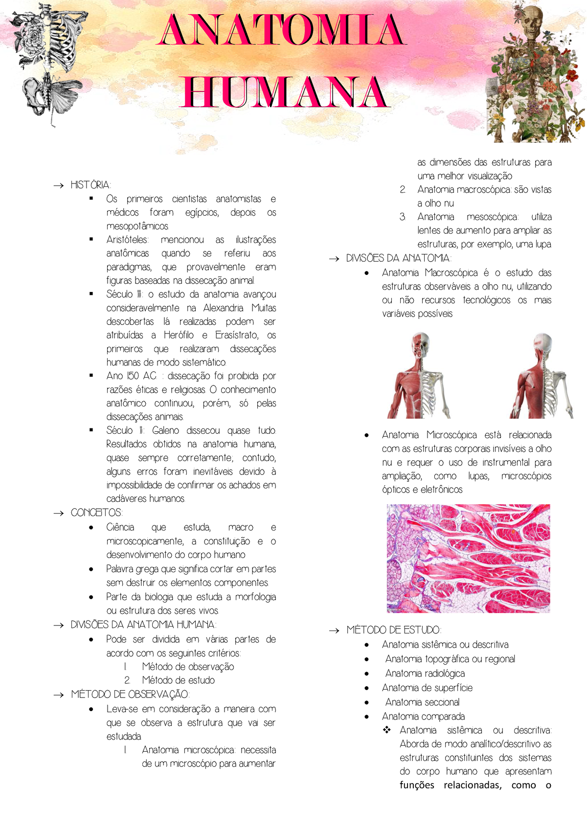 Anatomia Humana - Resumo Teorico - HISTÓRIA: Os Primeiros Cientistas ...