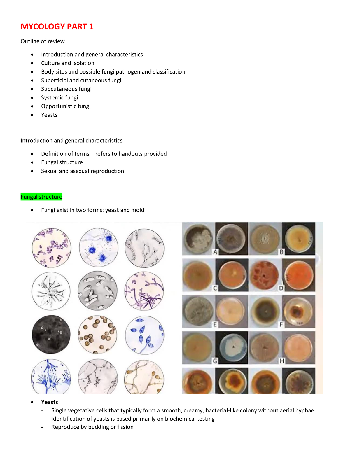 Mycology Complete Notes Mycology Part 1 Outline Of Review