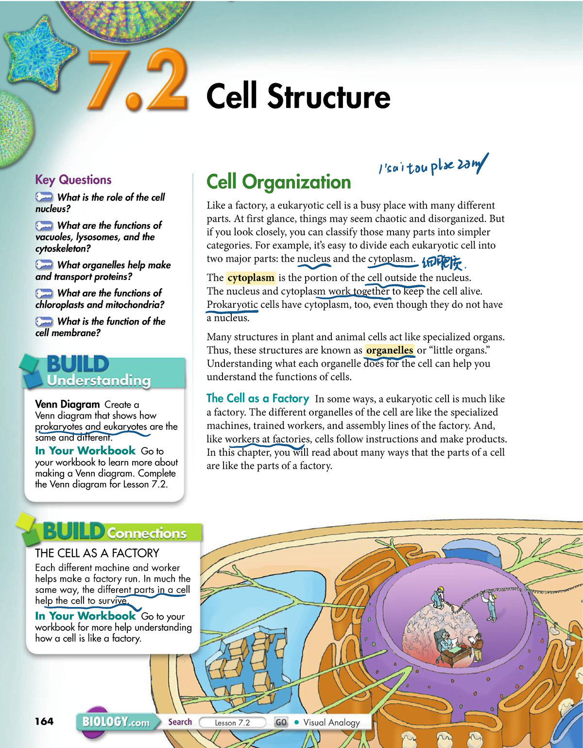 Cell structure 7 - Lecture notes 7 - Cell Structure 164 Venn Diagram Create  a Venn diagram that - Studocu