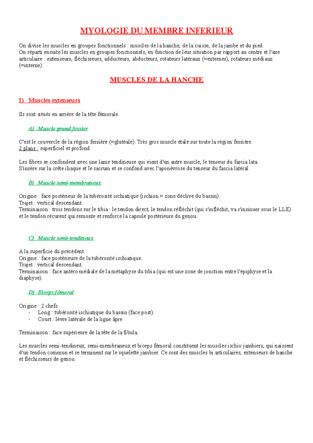 Myologie Du Membre Inferieur Myologie Du Membre Inferieur On Divise Les Muscles En Groupes