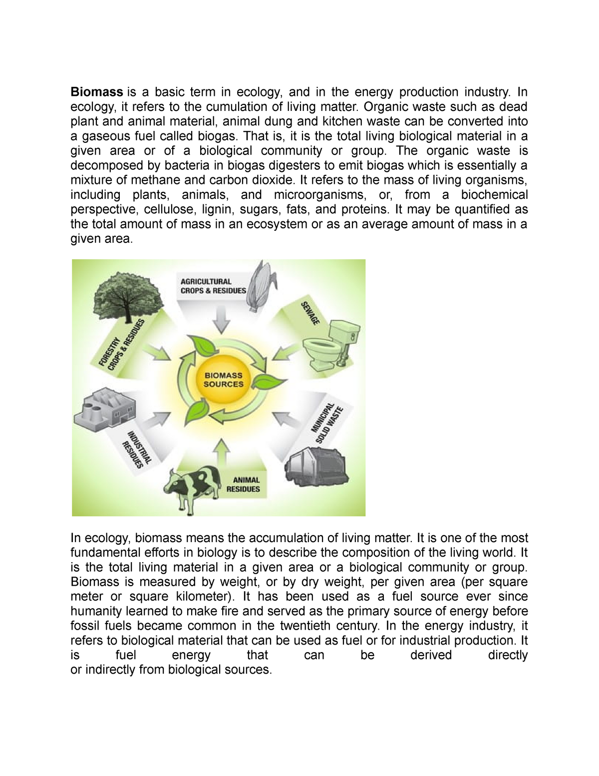 term paper about biomass