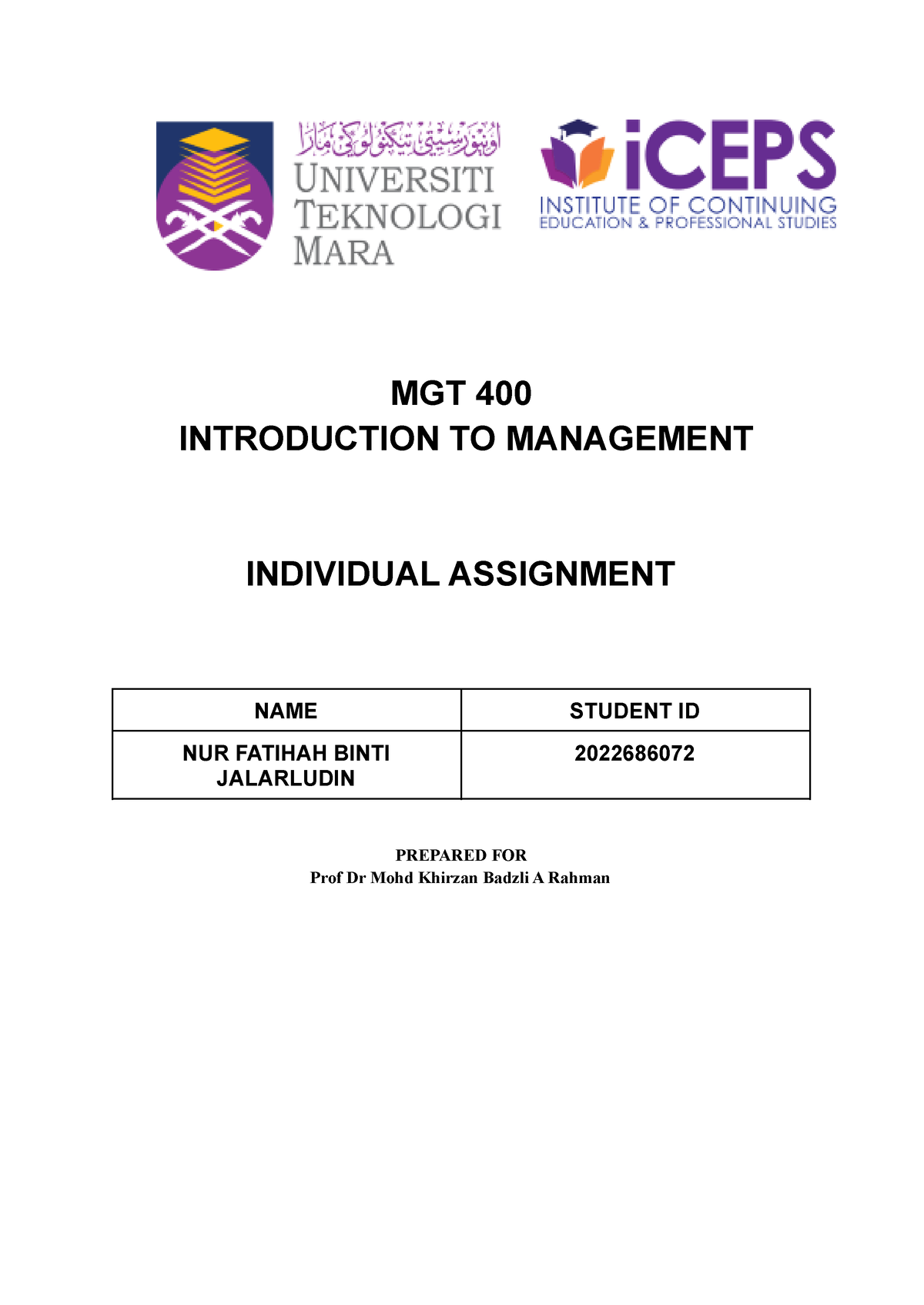 group assignment mgt400