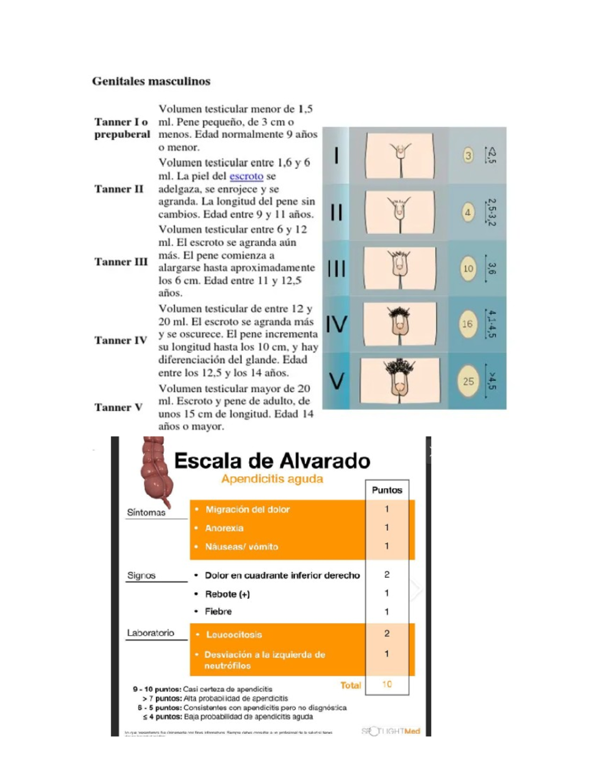 Escalas - Genitales masculinos Volumen testicular menor de 1,5 Tanner I ...