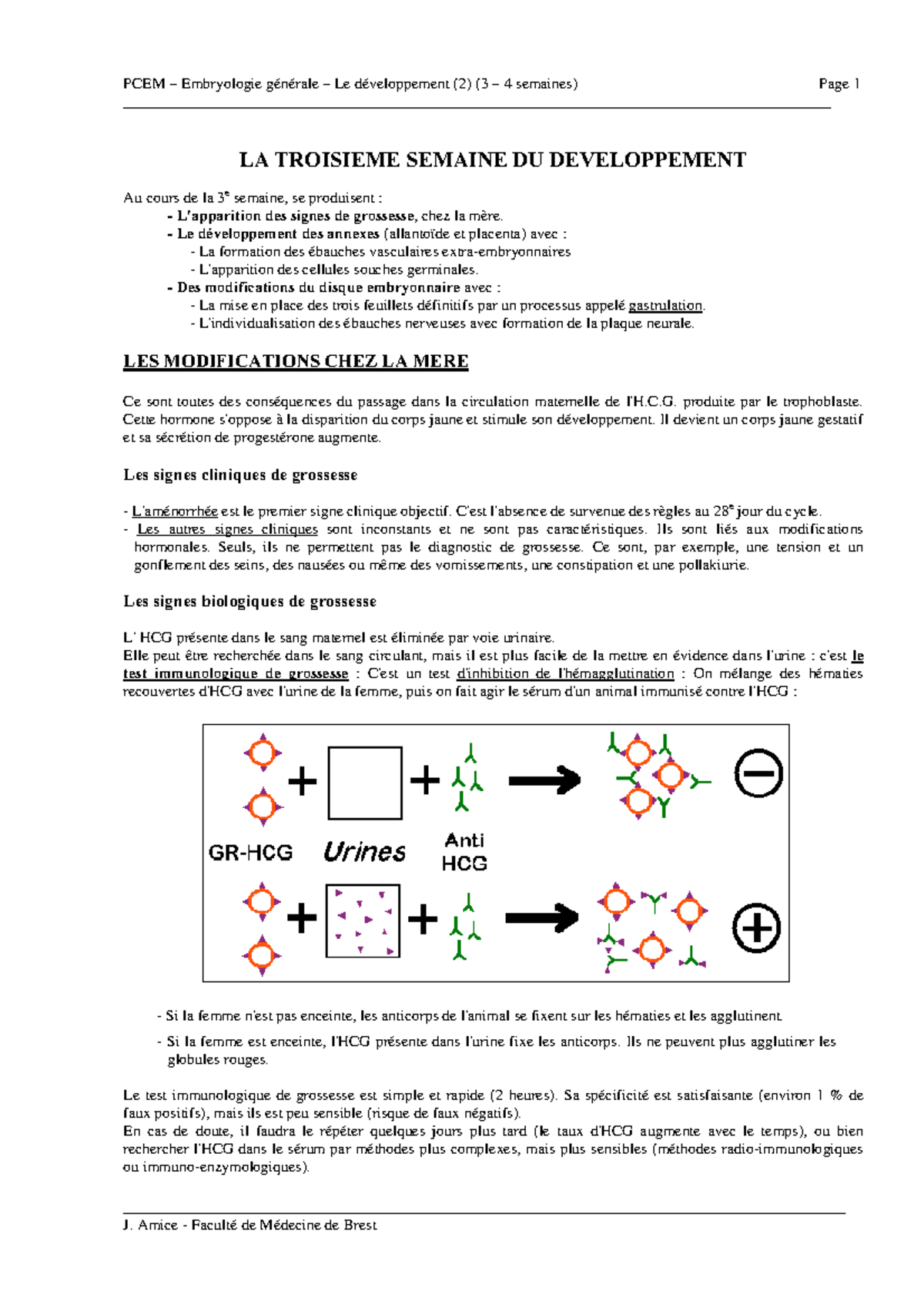 Embryologie Generale Ubo Studocu