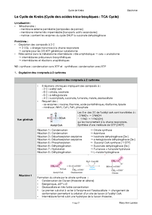 Synthese Cours 13 Cycle de l'uree - Le cycle de l’urée. La balance ...