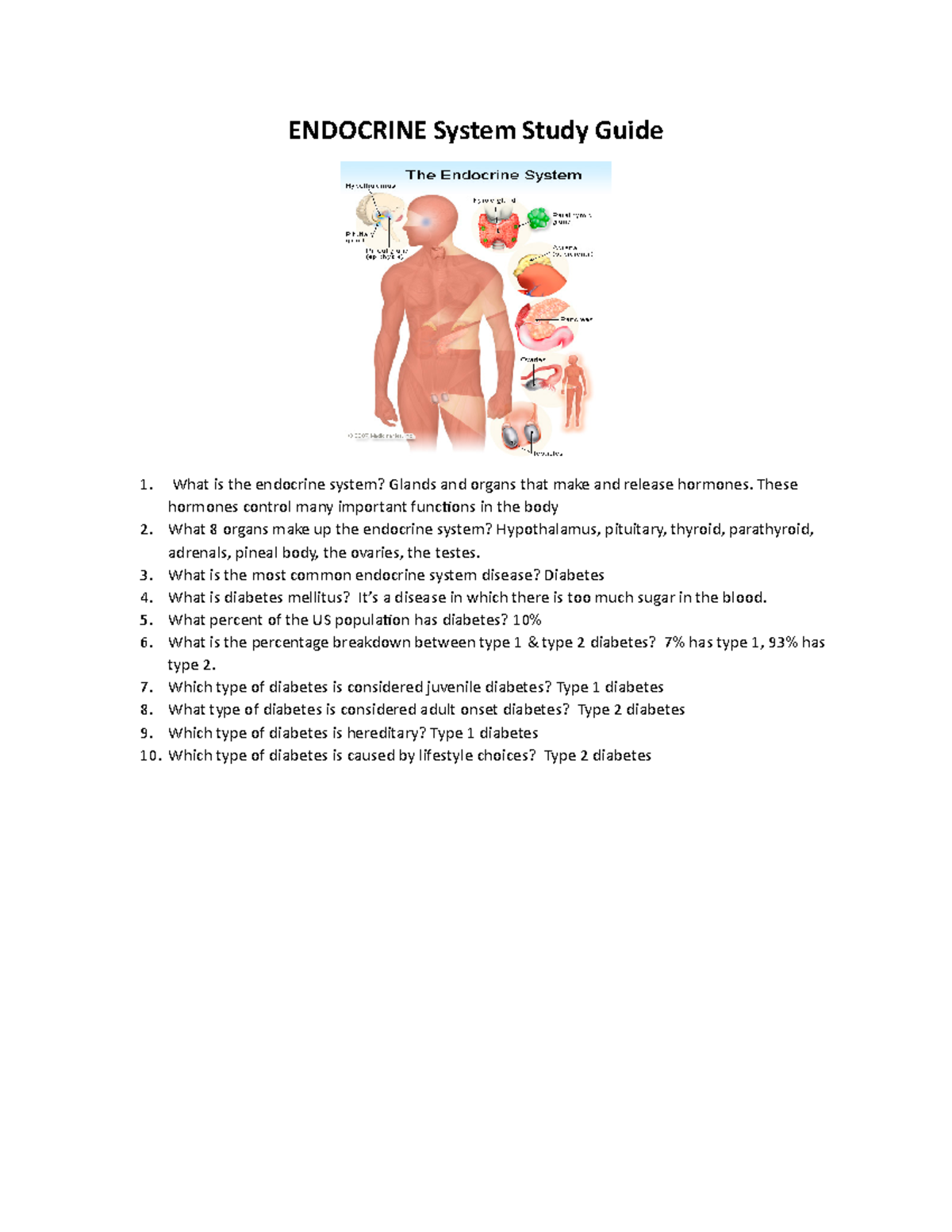 Endocrine System Study Guide - ENDOCRINE System Study Guide What is the ...