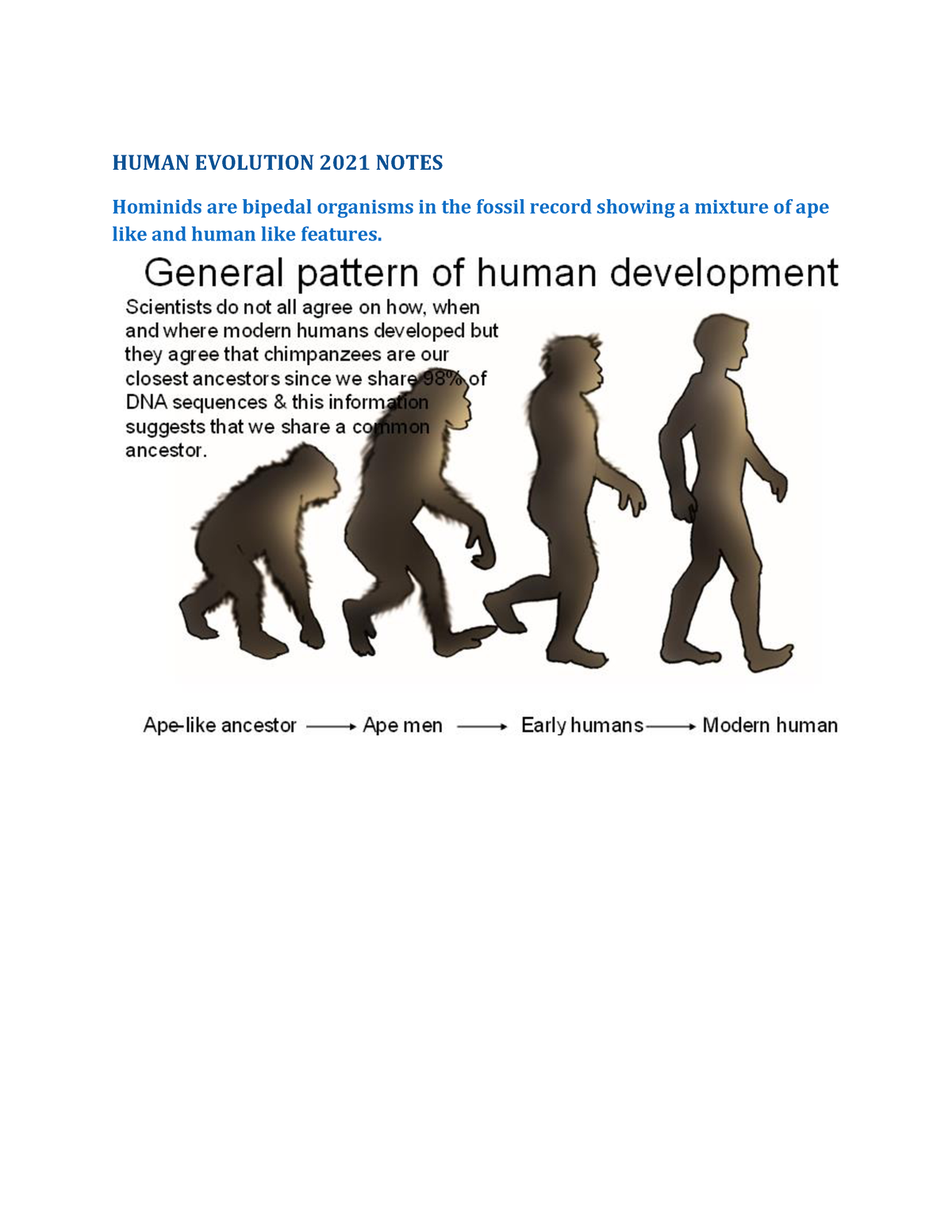 Human Evolution 2021 Notes Human Evolution 2021 Notes Hominids Are Bipedal Organisms In The 7979