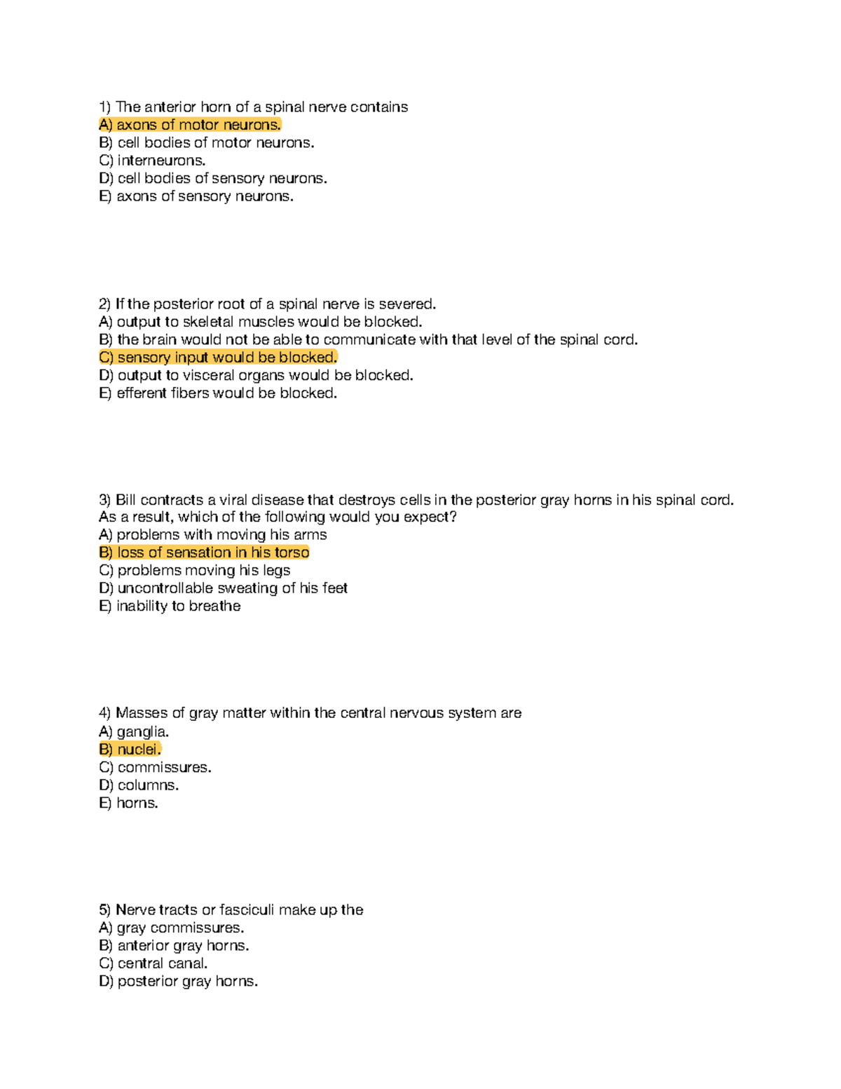 Review Exam 3 Questions - The anterior horn of a spinal nerve contains ...