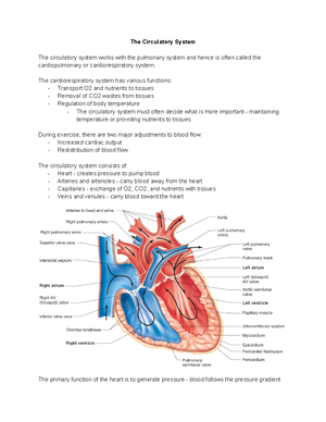 Exercise Physiology (HS342) Lab 2 Manuscript Arpita Edke - Maximal ...