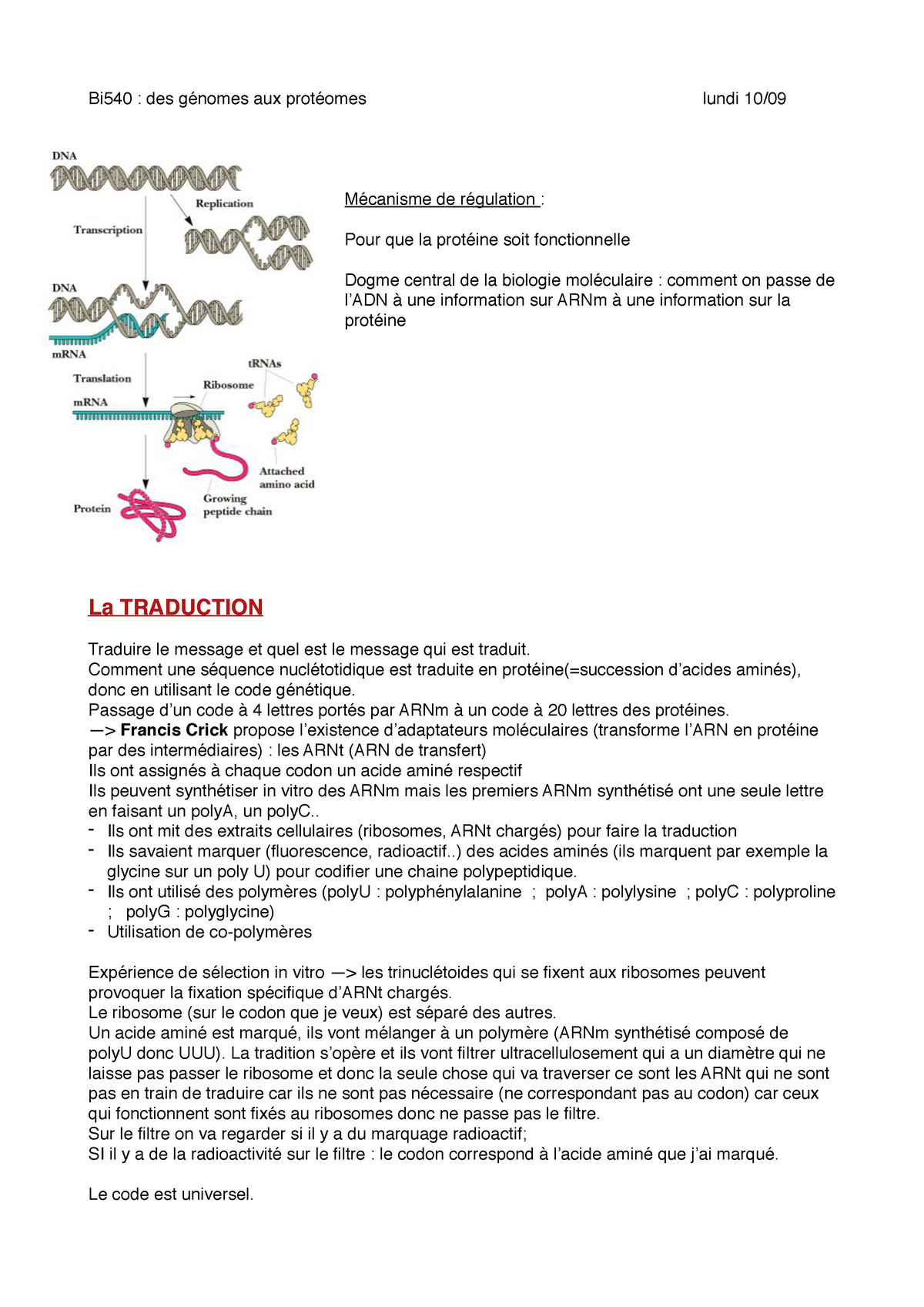 Fiche De Révision Biologie St2s Première Bi540 traduction - Bi540 : des génomes aux protéomes lundi 10/09