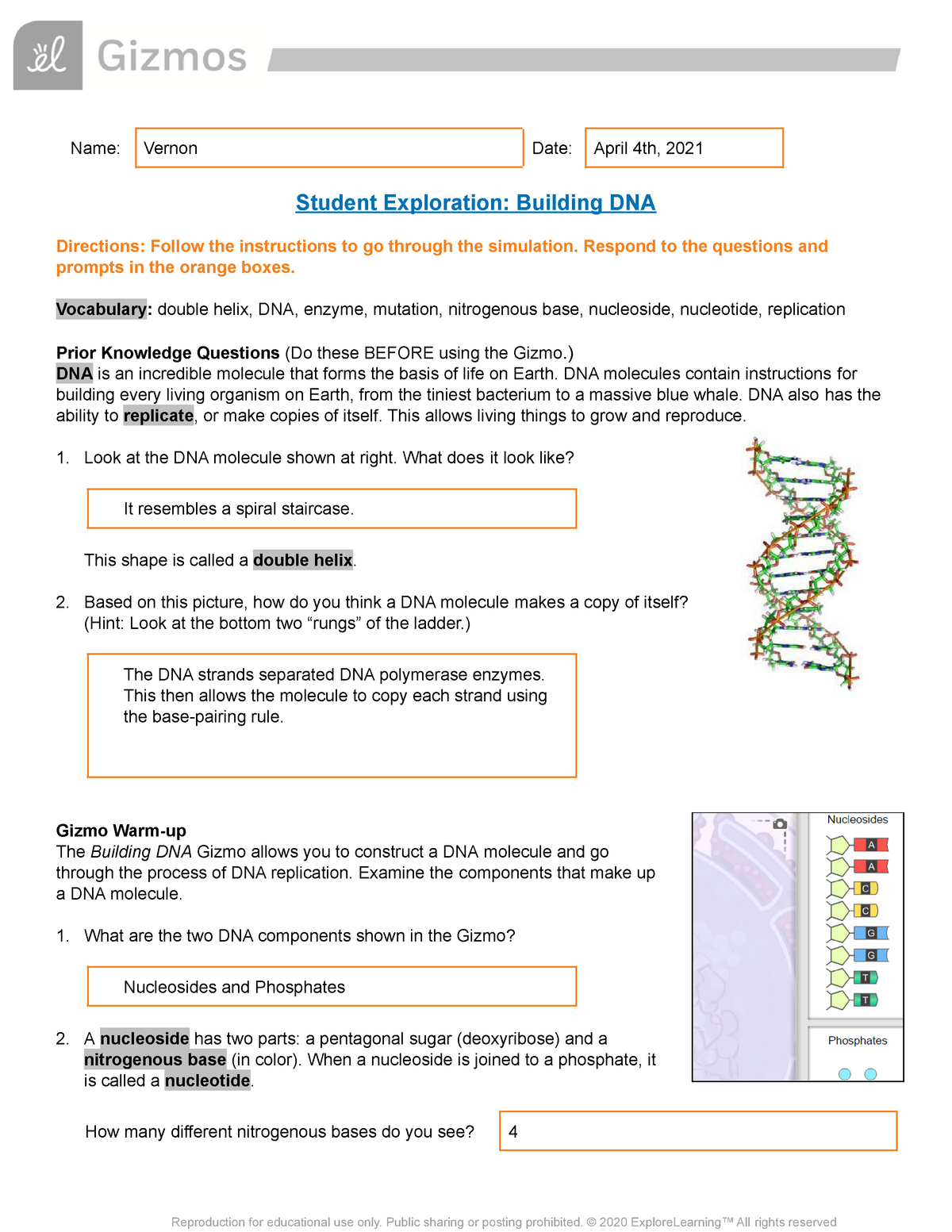 DNA Gizmo - Answers - Grade 21 - Biology - StuDocu For Dna Structure Worksheet Answer Key