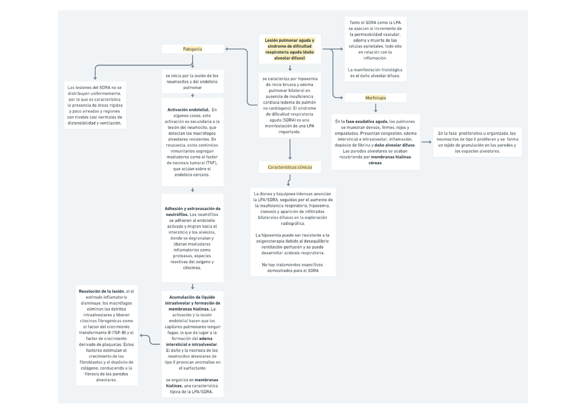 Mapa De Epoc Y Sdra Mapas Conceptuales De Enfermedad Pulmonar