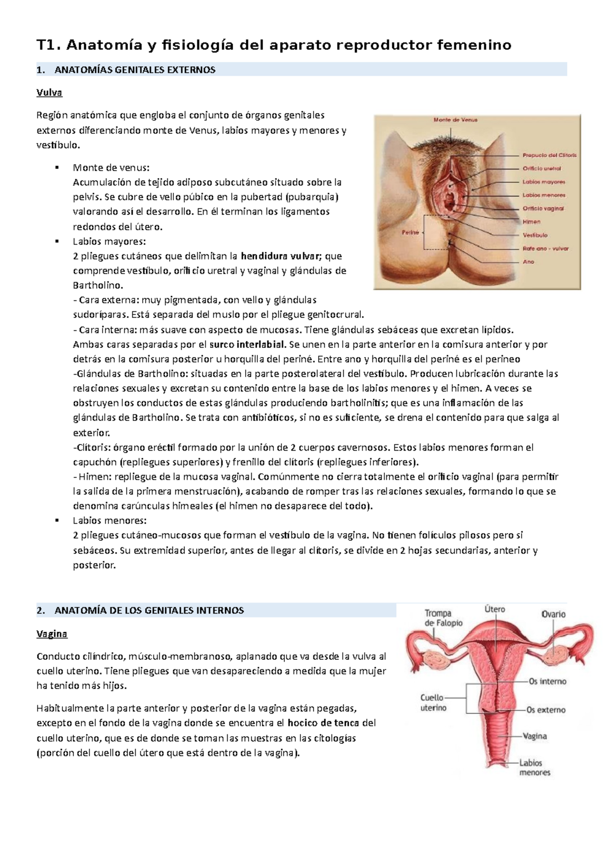 T1. Anatomía Y Fisiología Del Aparato Reproductor Femenino - T1 ...