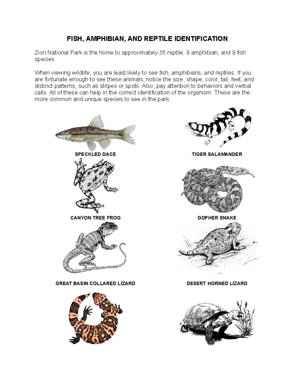 Fish Amphibian Reptile Identification FISH, AMPHIBIAN, AND