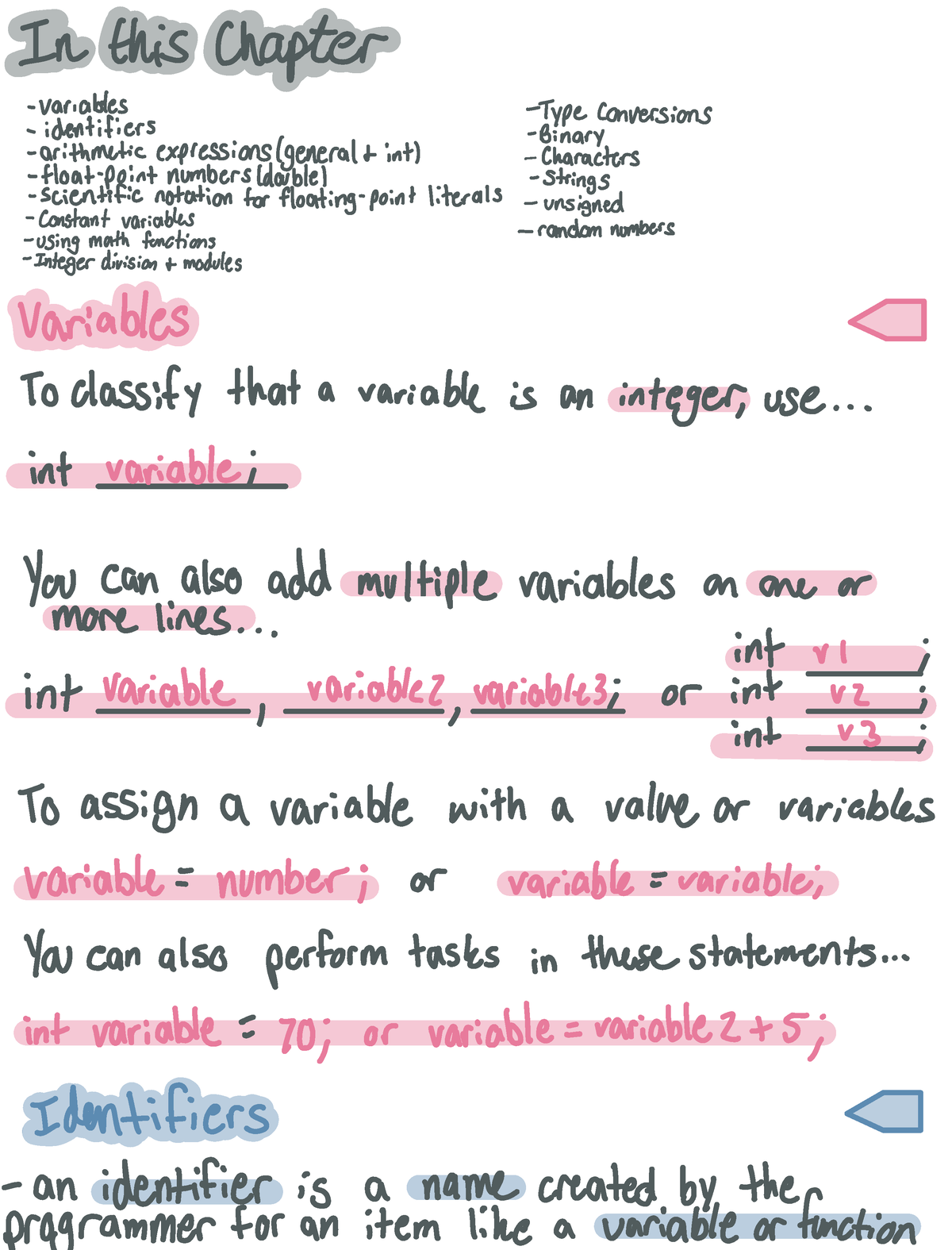 assignments vs variables