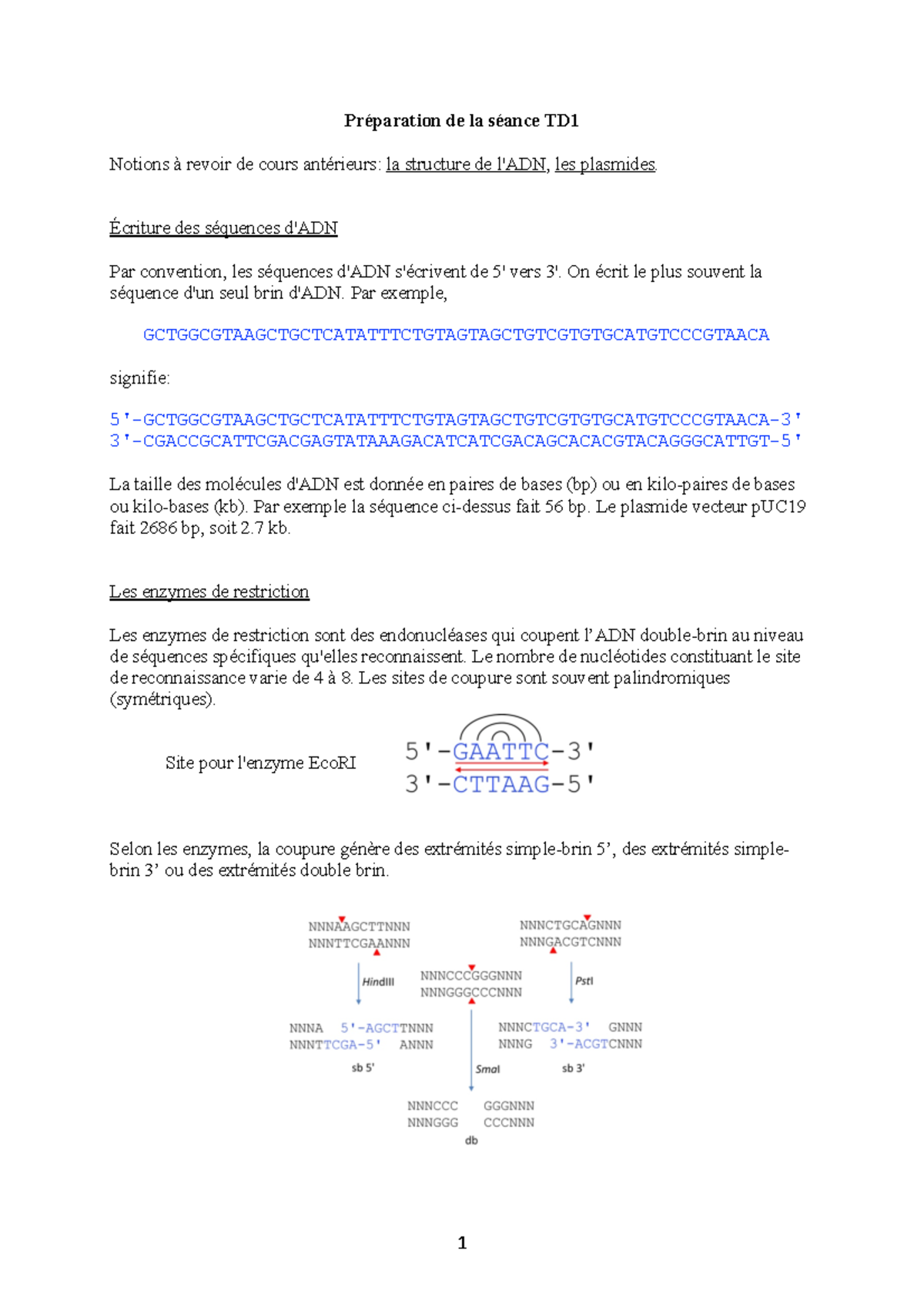 Prépa TD1 prepa td Préparation de la séance TD Notions à revoir de cours antérieurs la