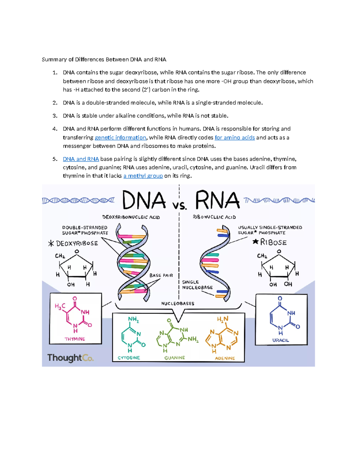 RNA basic and forms - Summary of Differences Between DNA and RNA 1. DNA ...