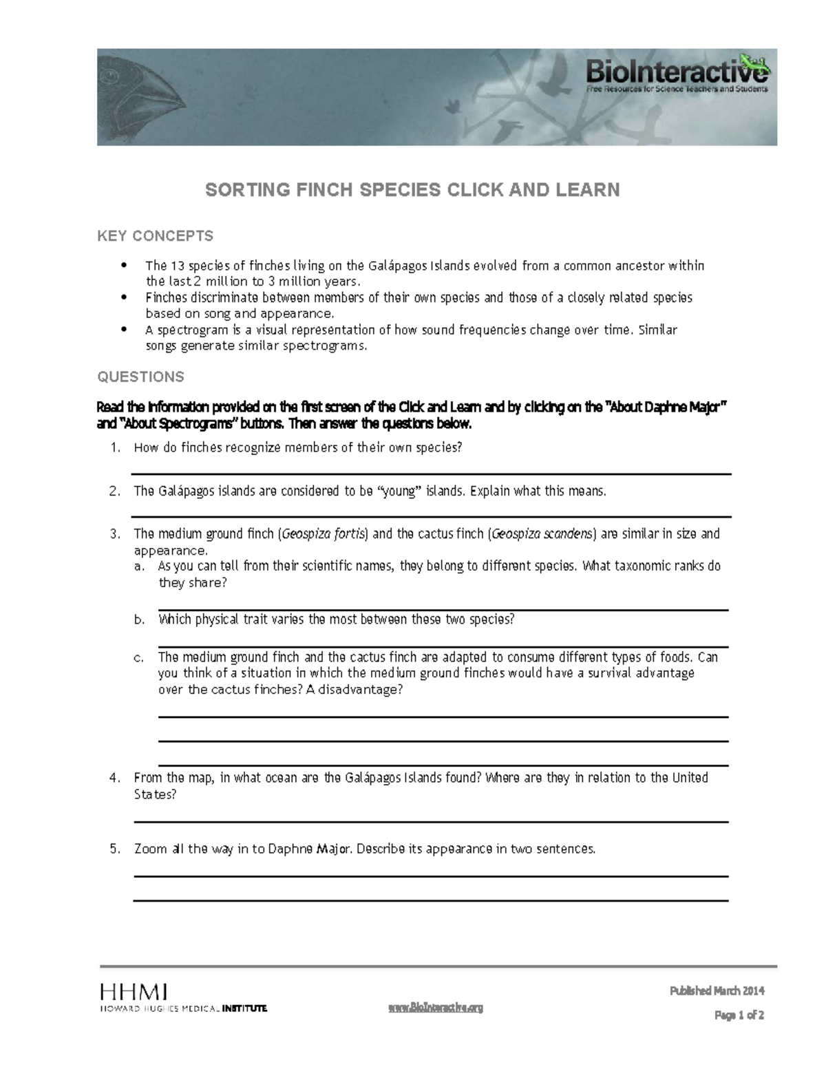 Lab 12 Sorting Finch Species Worksheet The Origin Of Species The
