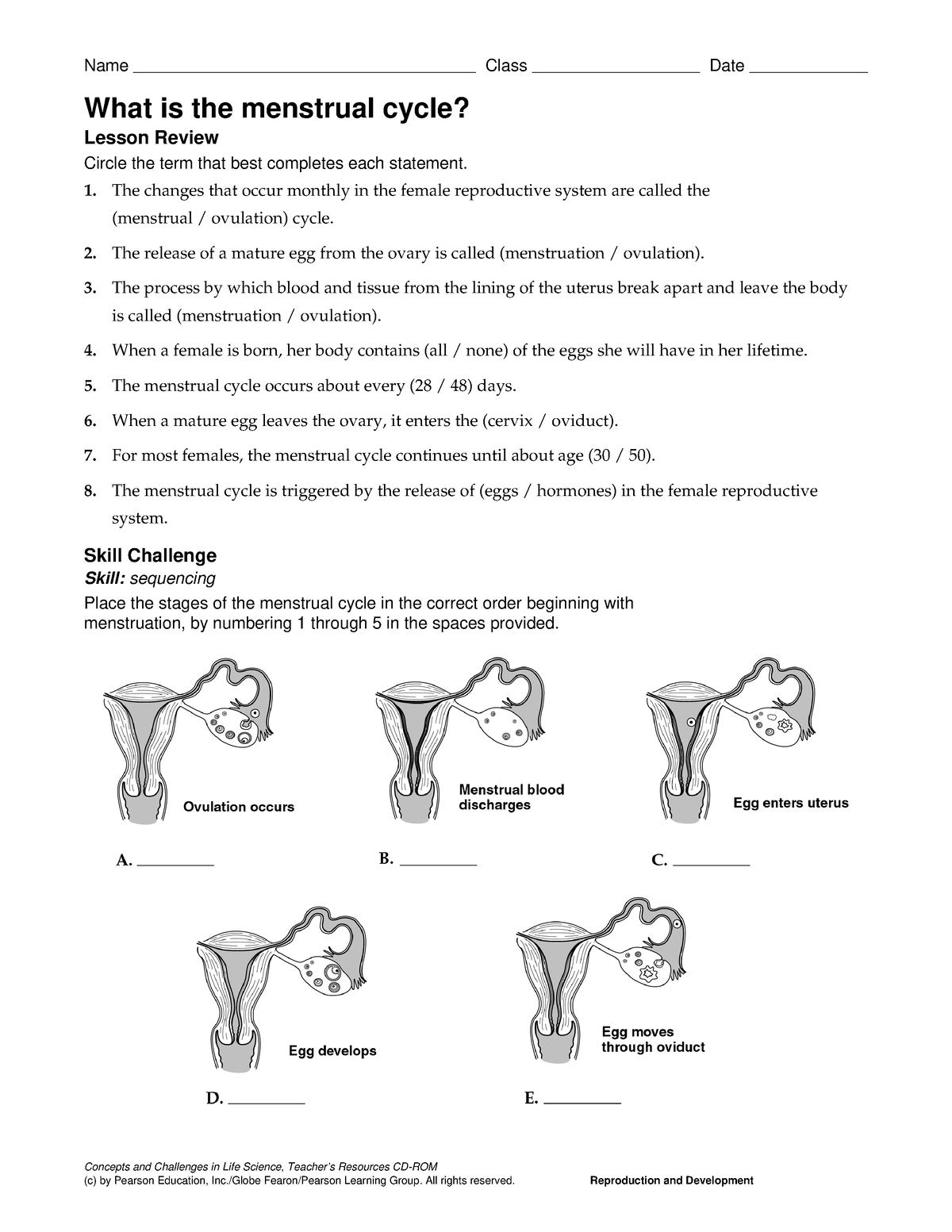 menstrual-cycle-nutrition-training