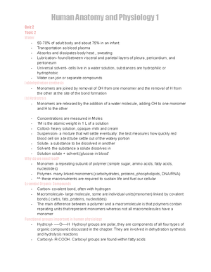 Anatomy Exam 2 - Study Guide Answers For Exam 2 - Anatomy Exam 2 Blast ...