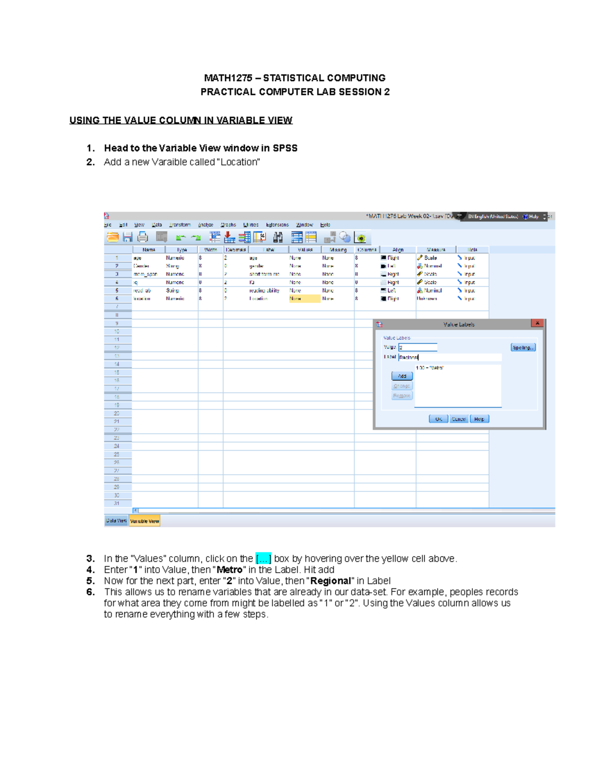 Guide for Values Column - MATH1275 – STATISTICAL COMPUTING PRACTICAL ...