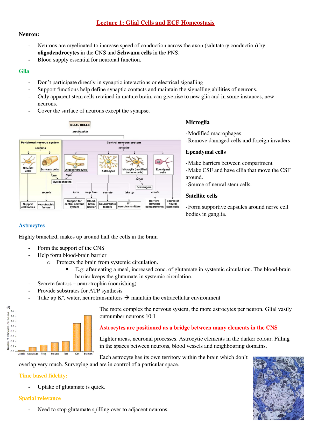 Lecture notes, lectures 1 - 11 - Lecture 1: Glial Cells and ECF ...