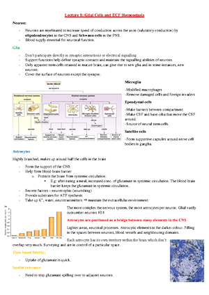 [solved] Which One Of The Following Statements About Neuron Polarity Is 