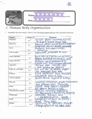 Lab Report Sensory Transduction Learn Why You Feel Pain When You Get Hit By A Rock - Describe ...