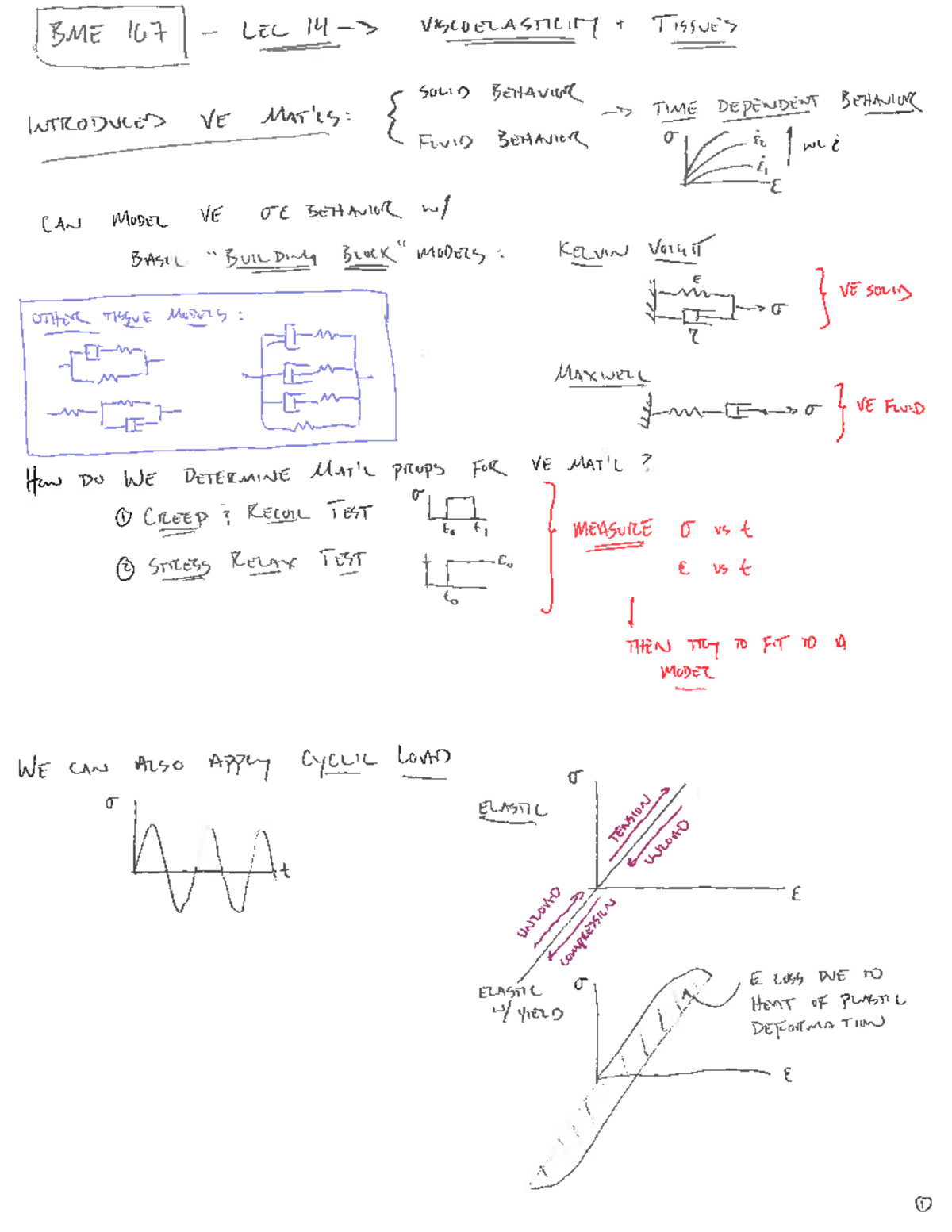 Lecture 14 Notes Mechanical Properties of Biological Tissues