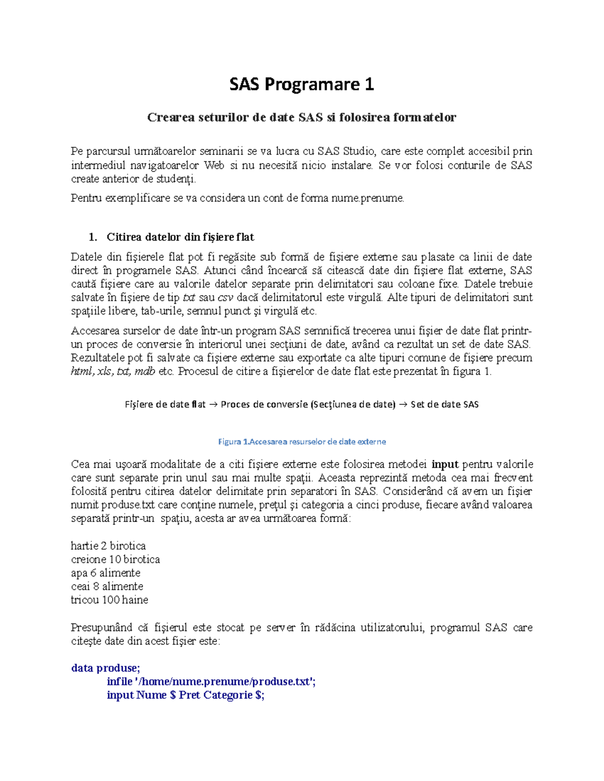 SAS Programare 1 - Pachete Software SaS Teorie prima parte - SAS ...