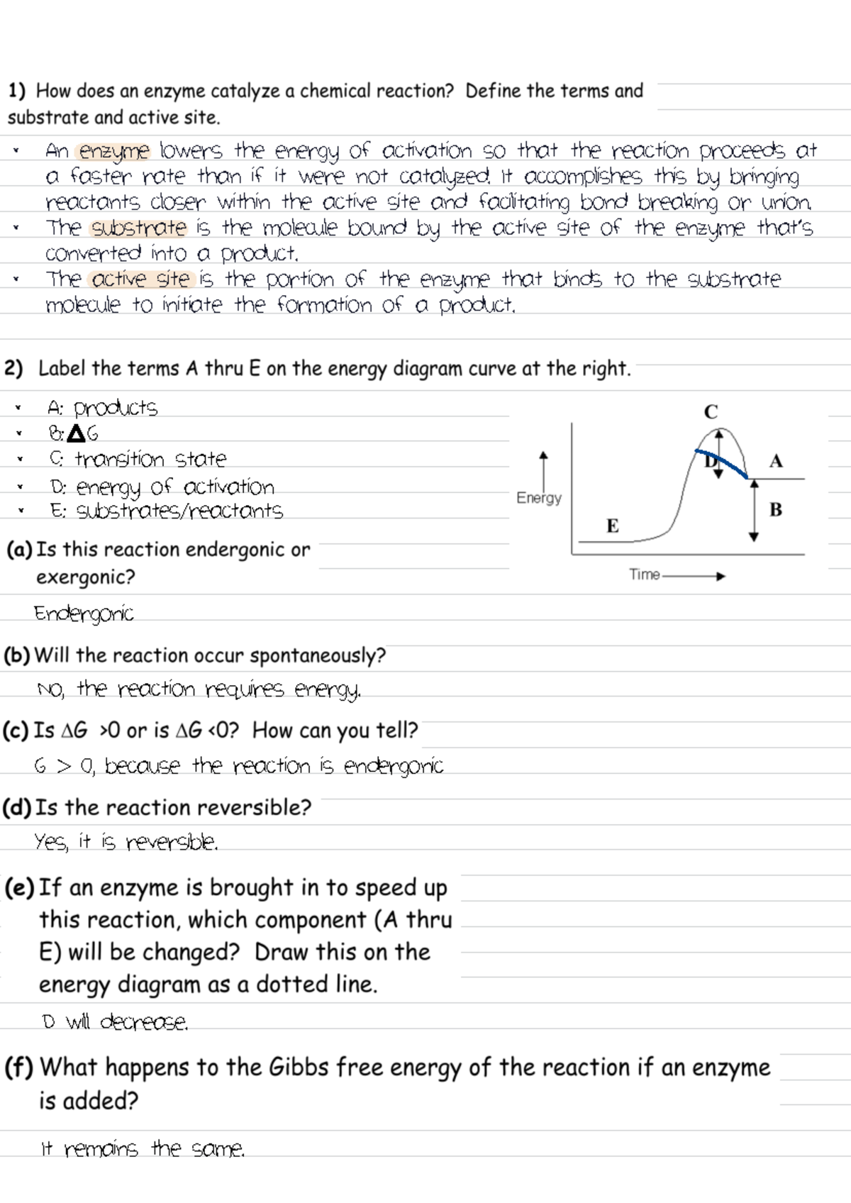 BILD 1 homework 2 - An enzyme lowers the energy of activation so that ...