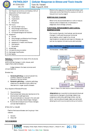 5 Minute Neuro Exam Handout - THE FIVE-MINUTE NEUROLOGICAL EXAMINATION ...