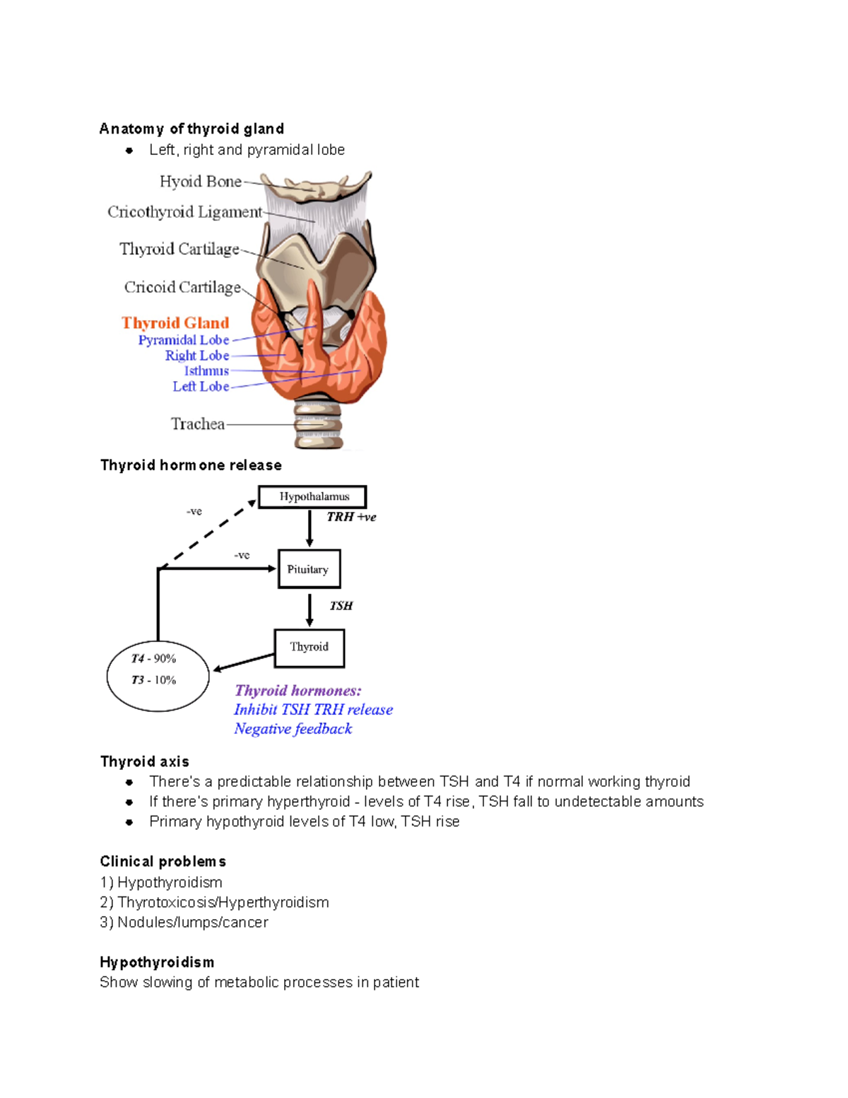 Thyroid - clinical - MBBS2 - Anatomy of thyroid gland Left, right and ...