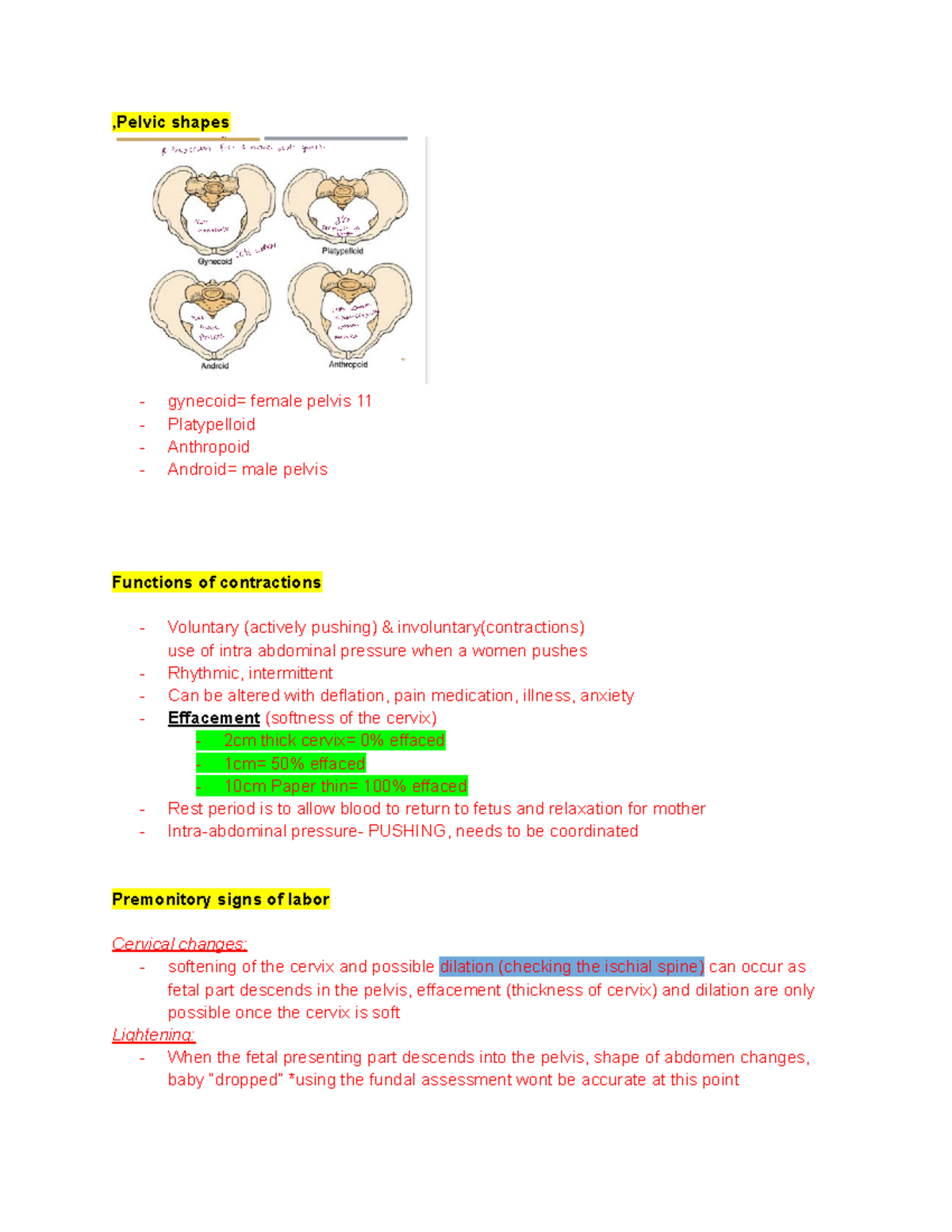 EXAM 2 study guide - ,Pelvic shapes - gynecoid= female pelvis 11 ...