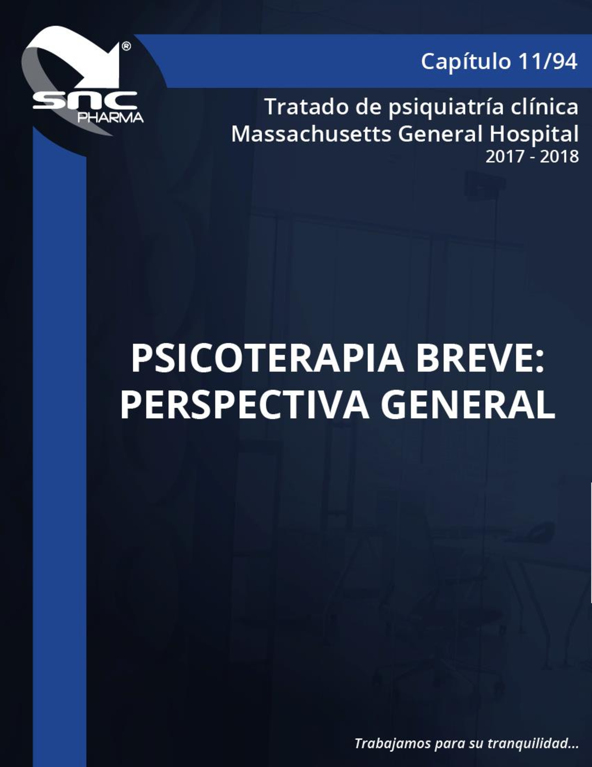 PsicoterapiaBreve Técnicas Psicoterapia breve perspectiva general