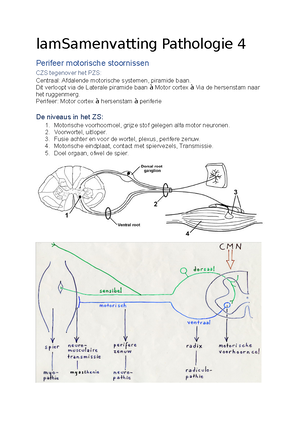 Samenvatting Pathologie Periode 3 - Bij Graad 1 Is Er Geen Aantoonbare ...