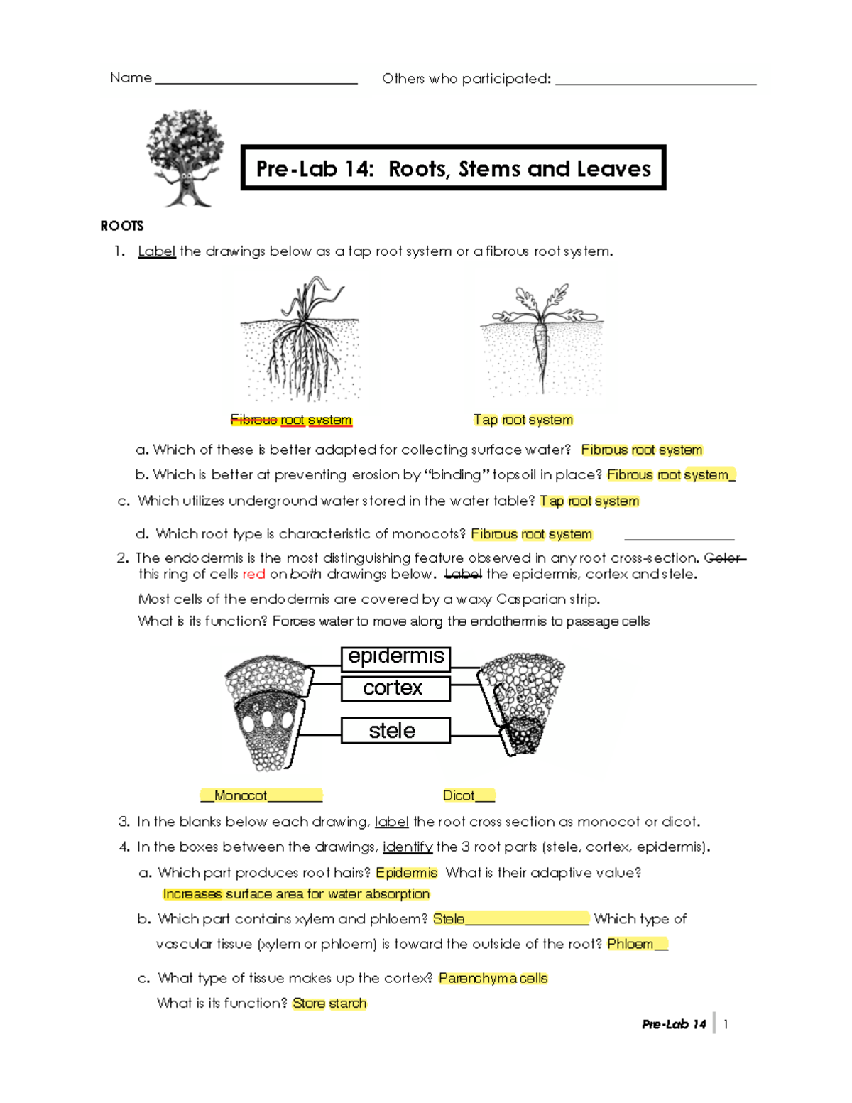 Prelab 14 Assignment - Pre-Lab 14 1 Pre-Lab 14: Roots, Stems And Leaves ...