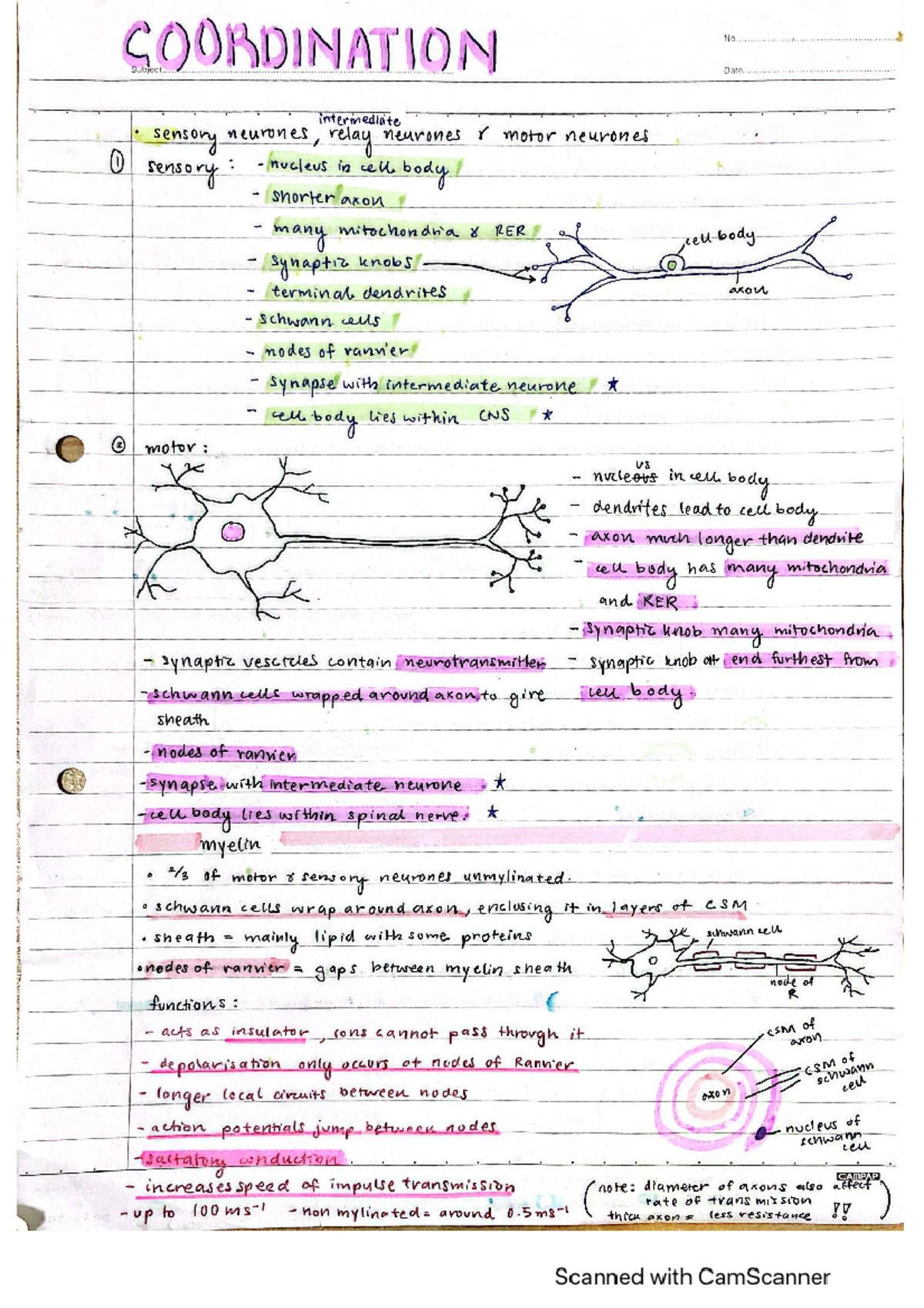 20220613100242 62a70b42f0297 a2 level biology coordination ...