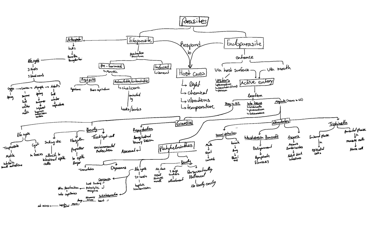 Parasites - Summary Principles of Parasitism - /parasites ↓ aras lA¥ñ÷ ...