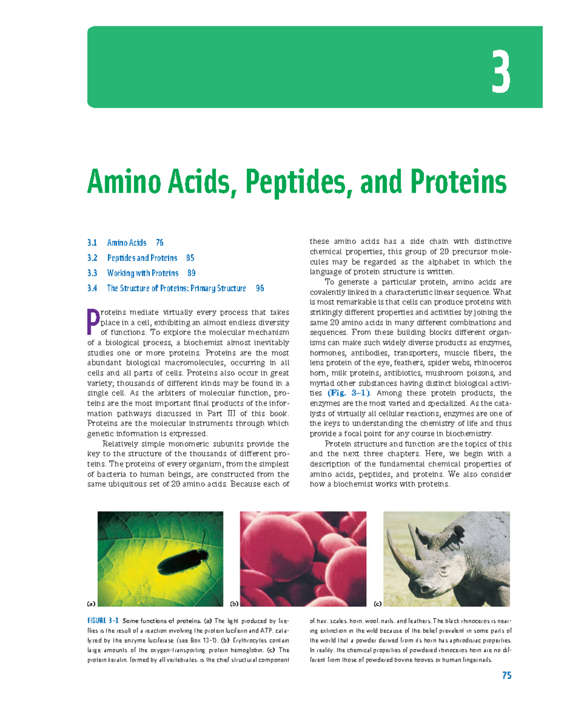 Ch. 1 The foundations of Biochemistry - 3 Amino Acids 76 3 Peptides and ...