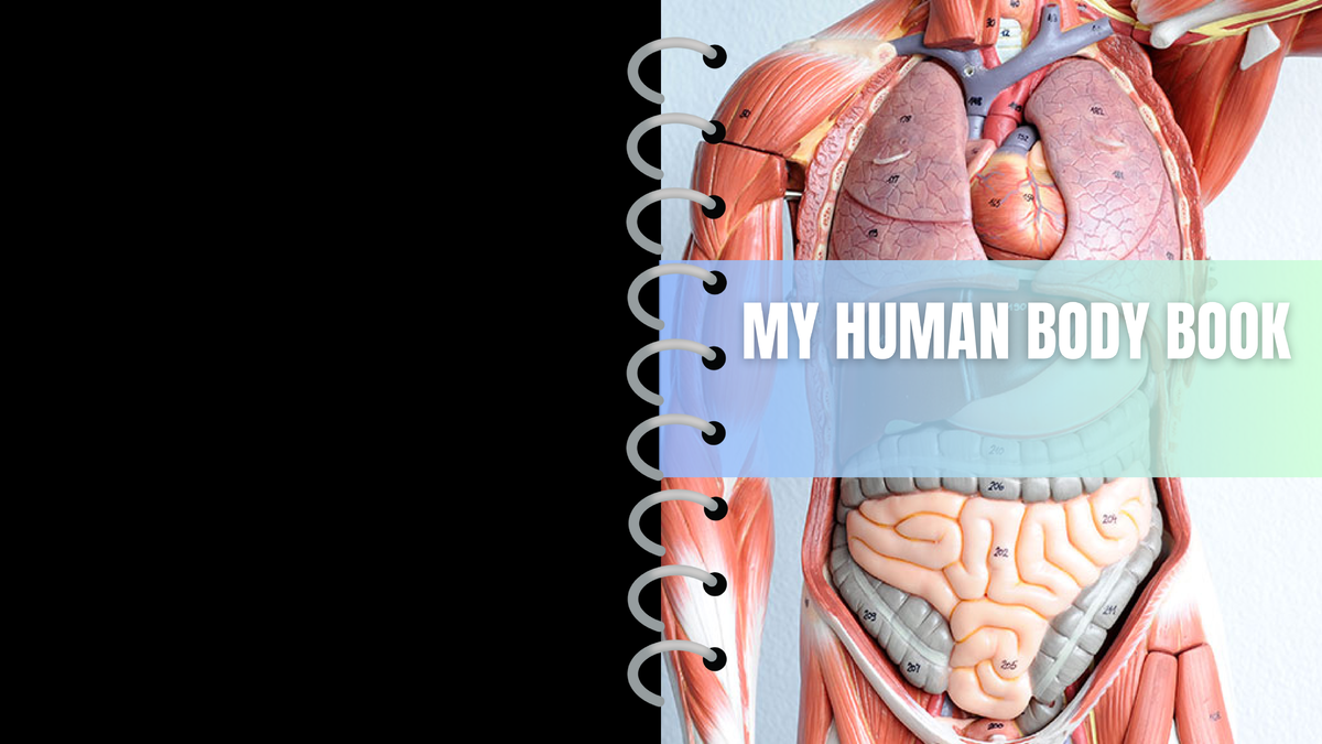 My human body book - pdf - Illustrated book act. 1 part 3 - MY HUMAN ...