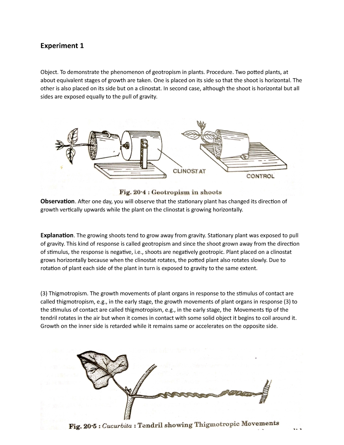 geotropism experiment pdf