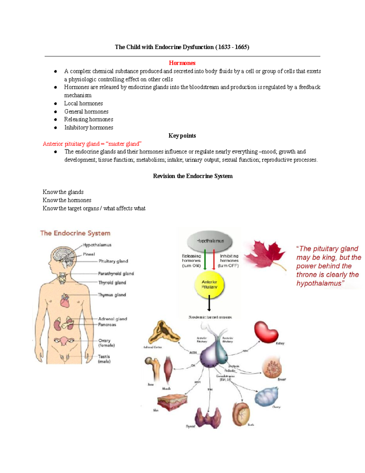 Lecture 11a -endocrine Dysfunction - The Child With Endocrine 