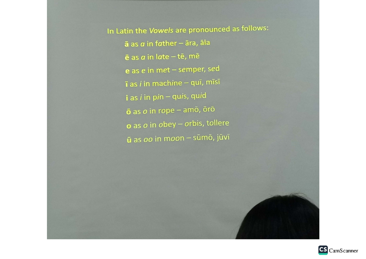 Latin 1 - In Latin the Vowels are pronounced as follows: à as a in ...