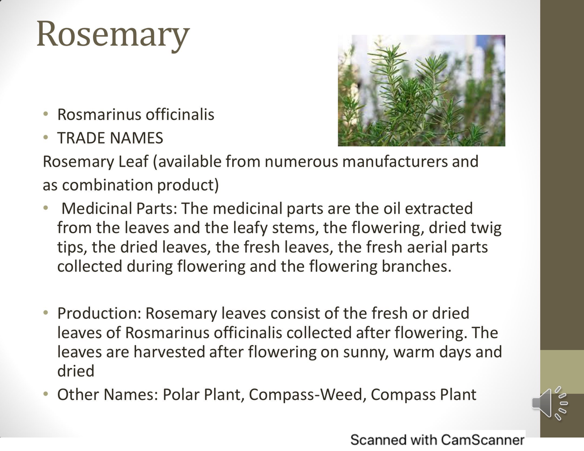 Phytotherapy Lec4 herbal drud Phytochemistry Studocu