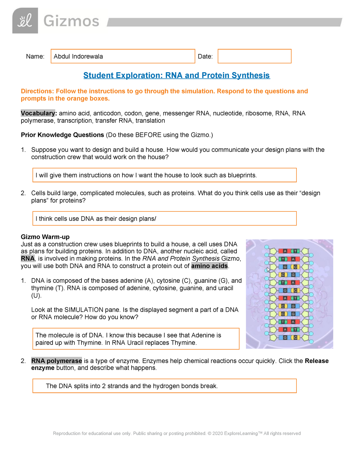 Gizmo Rna And Protein Synthesis Answer Key : Sec 361 Report Writing Train.....