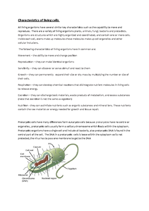 Salt Deficiency - About Sodium depletion and the conditions when sodium ...