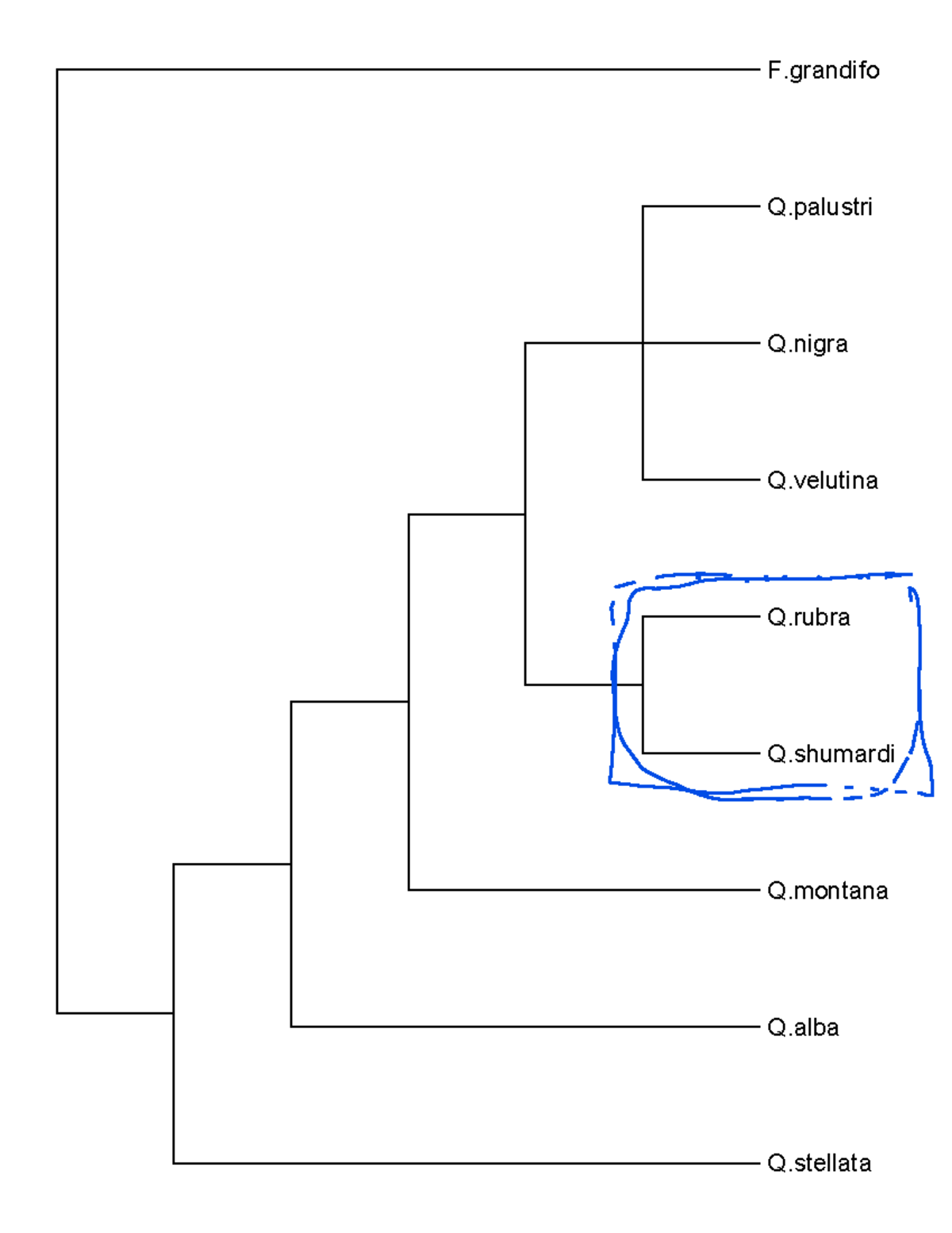 Lab 9 tree - tree lab - BIO148 - F Q Q Q Q Q Q Q Q - Studocu