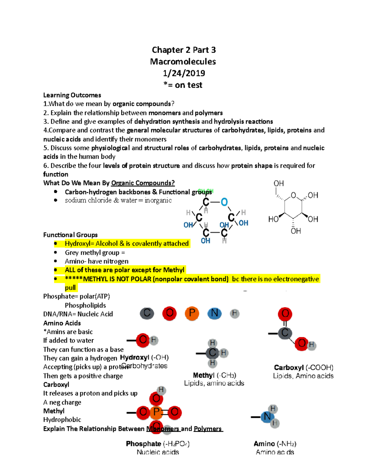 Chapter 2 Part 3 Macromolecules BSC 215 - Chapter 2 Part 3 ...
